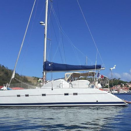Catamaran Cypraea Ξενοδοχείο Terre-De-Haut Εξωτερικό φωτογραφία