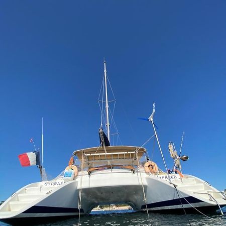 Catamaran Cypraea Ξενοδοχείο Terre-De-Haut Εξωτερικό φωτογραφία
