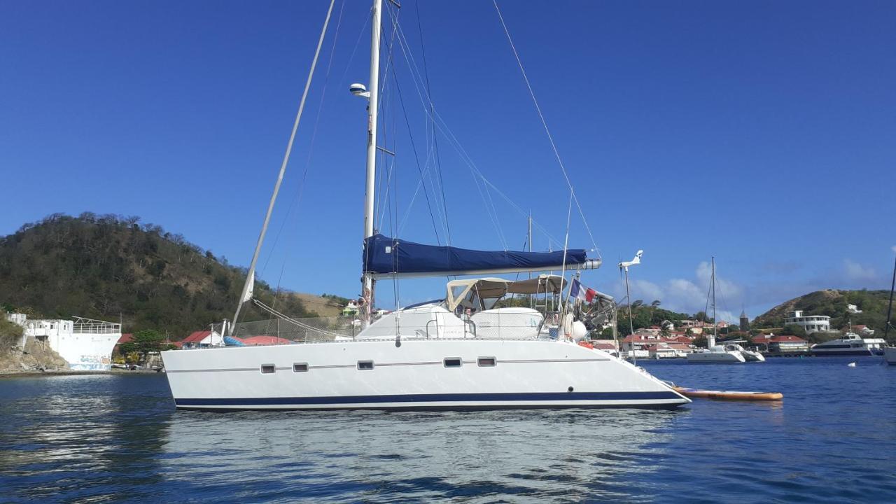 Catamaran Cypraea Ξενοδοχείο Terre-De-Haut Εξωτερικό φωτογραφία