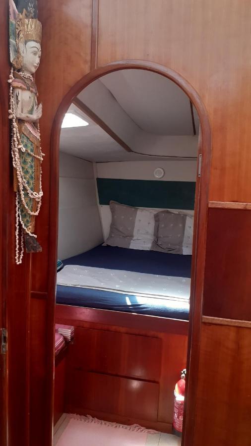 Catamaran Cypraea Ξενοδοχείο Terre-De-Haut Εξωτερικό φωτογραφία
