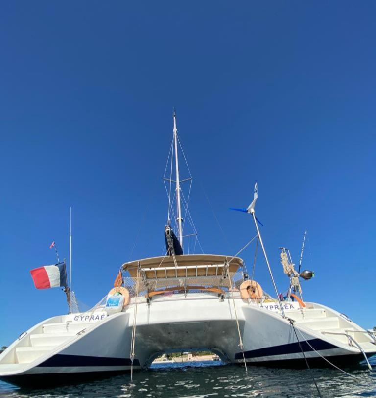 Catamaran Cypraea Ξενοδοχείο Terre-De-Haut Εξωτερικό φωτογραφία