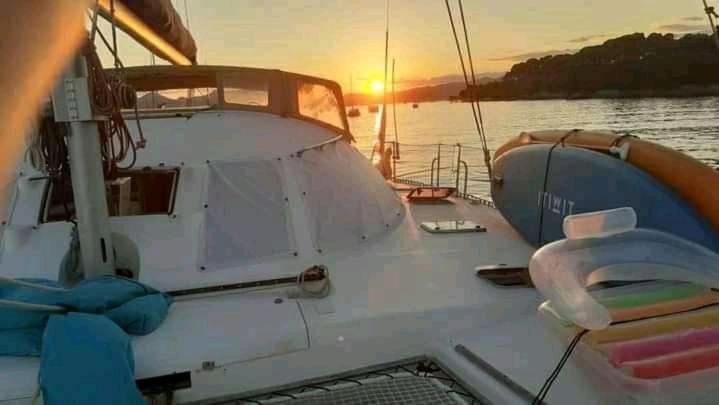 Catamaran Cypraea Ξενοδοχείο Terre-De-Haut Εξωτερικό φωτογραφία